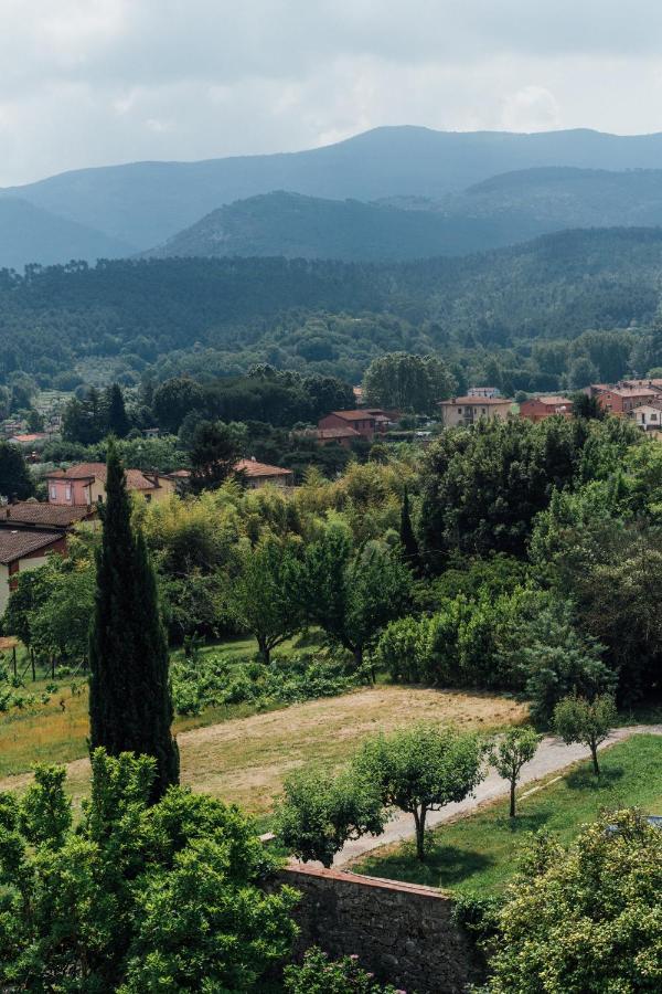 Buonvisi B&B Лука Екстериор снимка